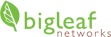 Bigleaf Logo - current web