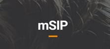 msip.jpg